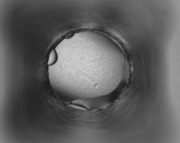 X0000094191256200711161741