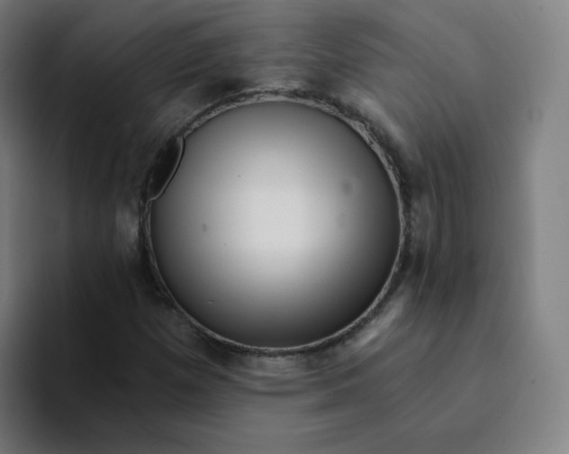 X0000094191257200711161741