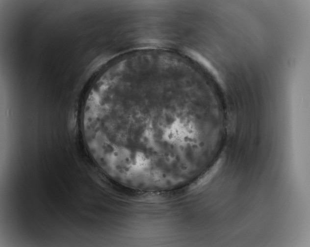 X0000094191259200711161741