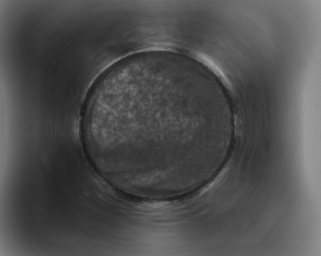 X0000094191260200711161741