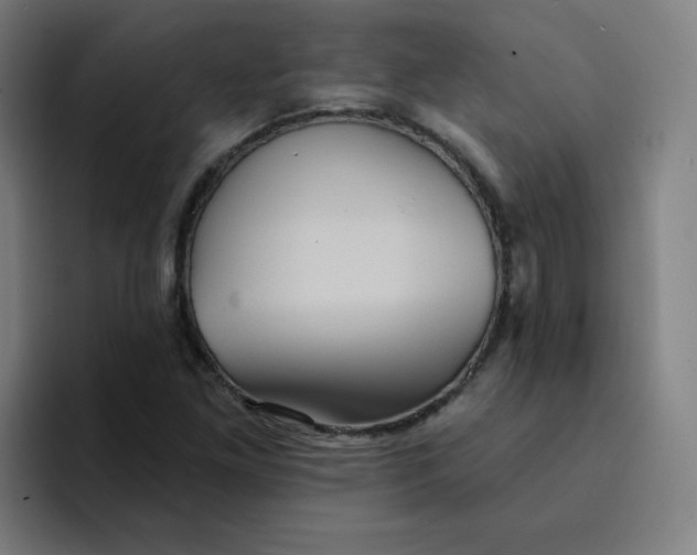 X0000094191261200711161741