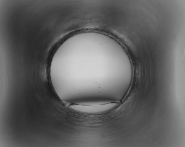 X0000094191262200711161741