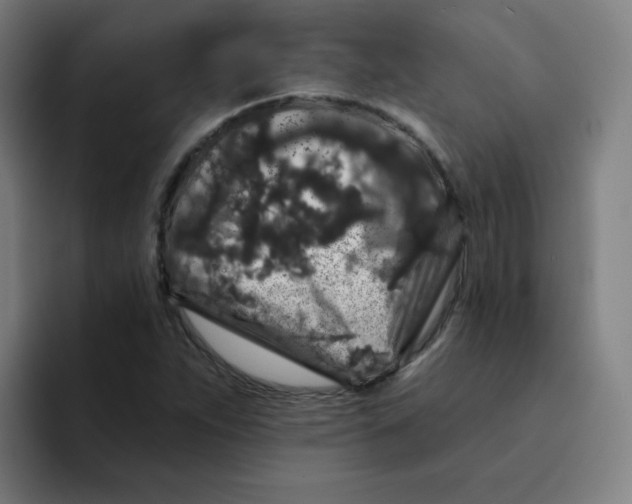 X0000094191263200711161741