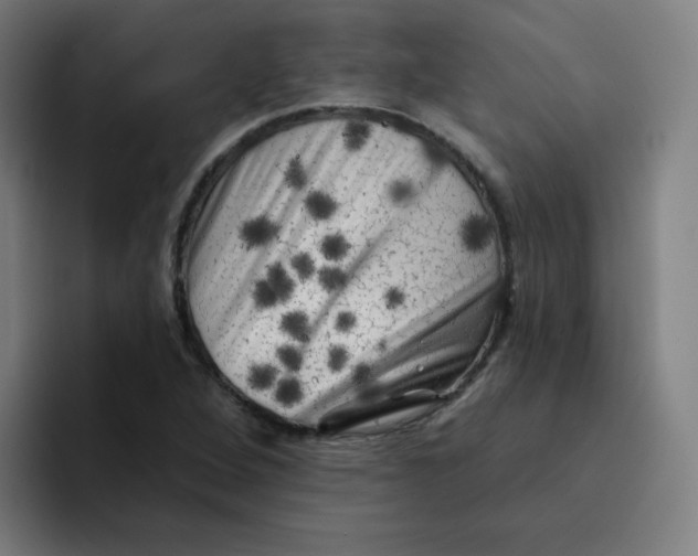 X0000094191264200711161741