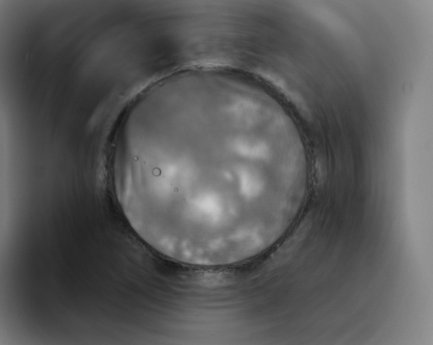 X0000094191266200711161741