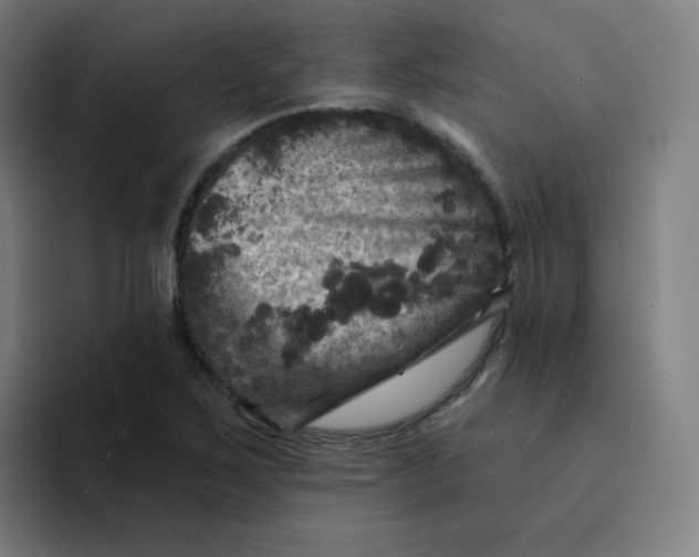 X0000094191267200711161741