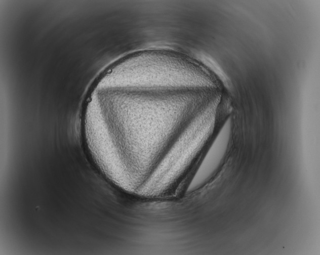 X0000094191268200711161741