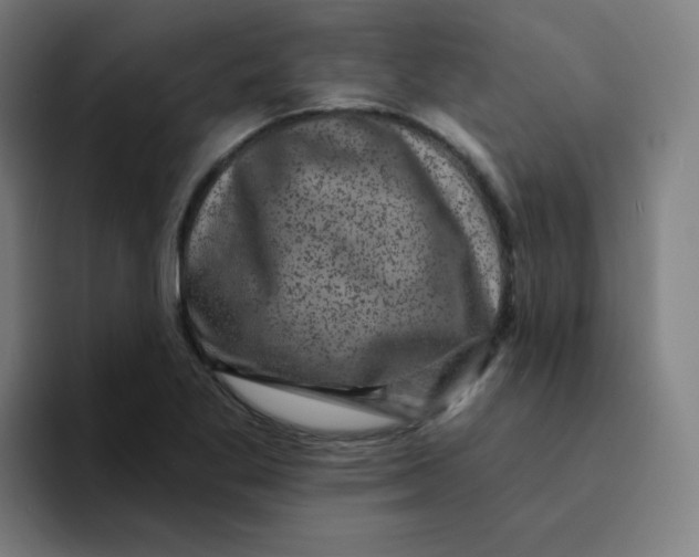 X0000094191269200711161741