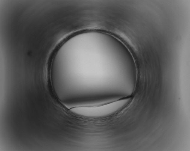 X0000094191270200711161741