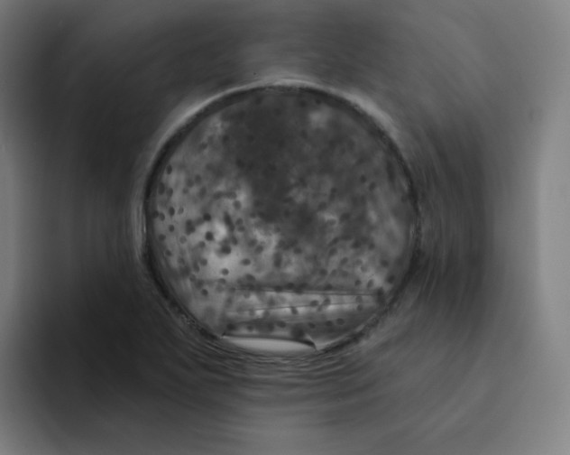 X0000094191271200711161741