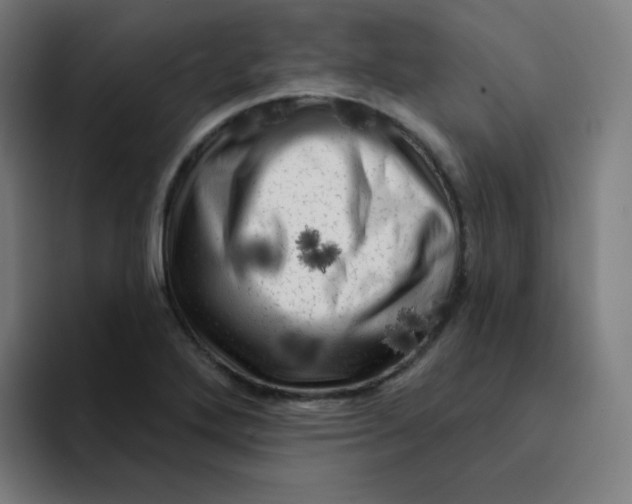 X0000094191272200711161741