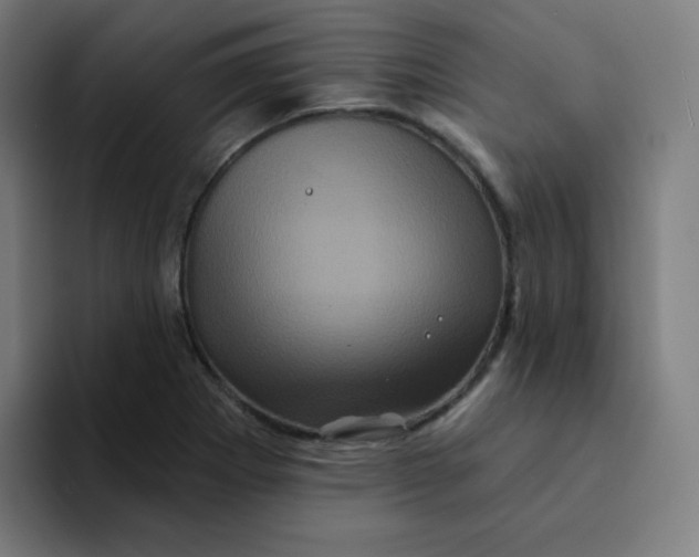 X0000094191273200711161741