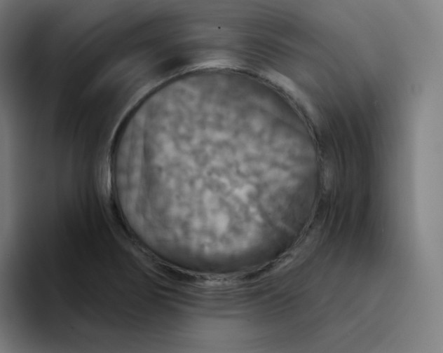 X0000094191274200711161741