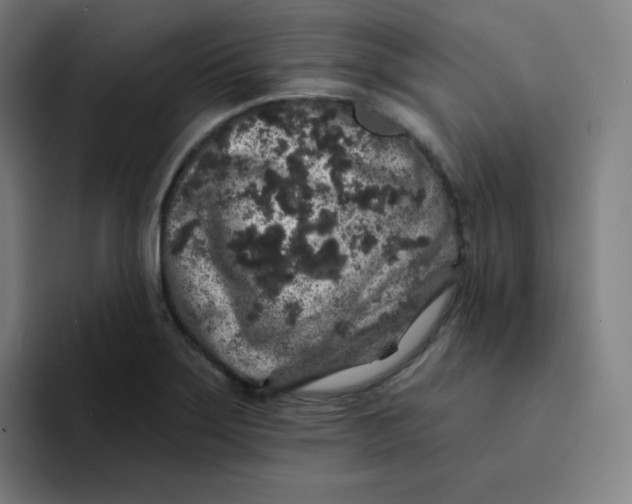 X0000094191275200711161741