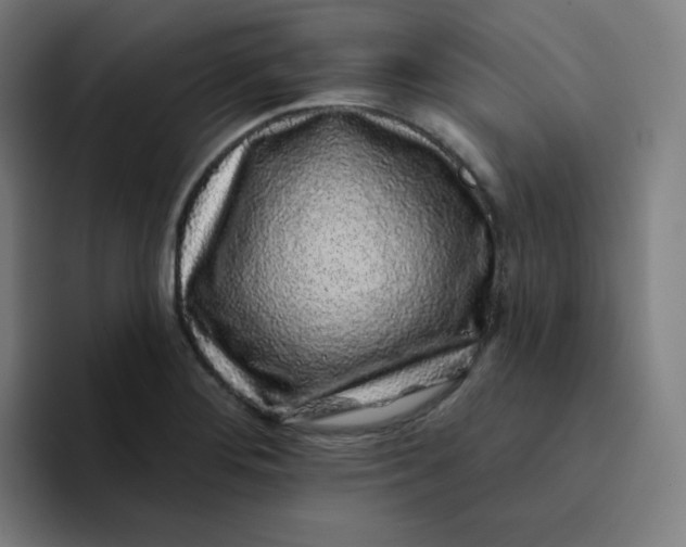 X0000094191276200711161741