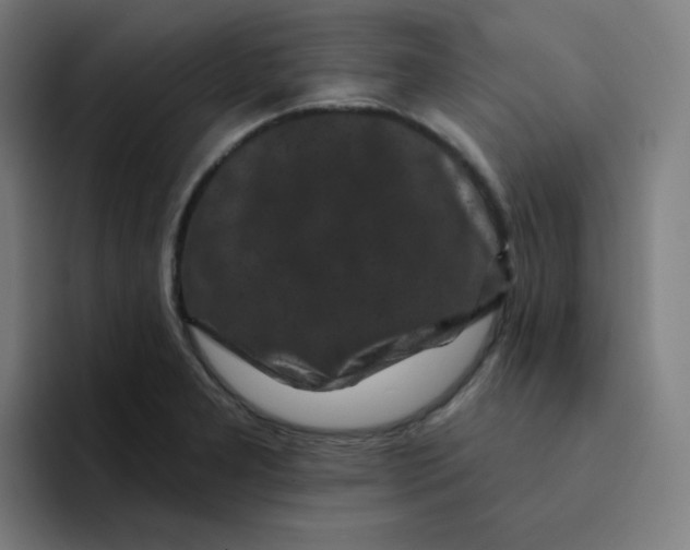 X0000094191277200711161741