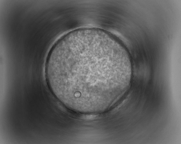 X0000094191278200711161741