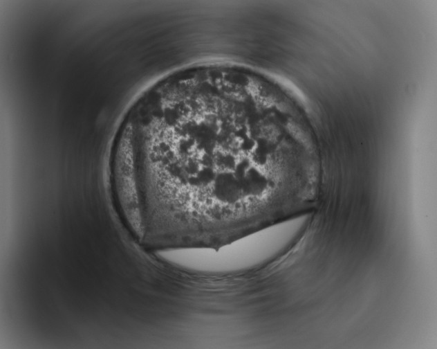 X0000094191279200711161741