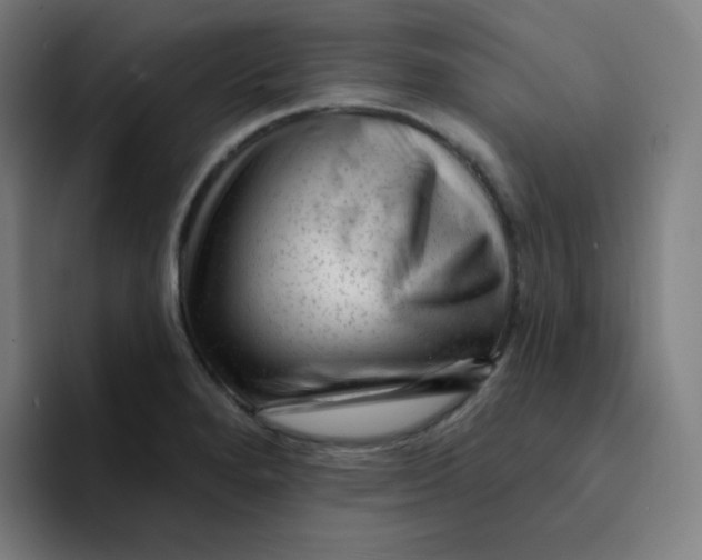 X0000094191280200711161741