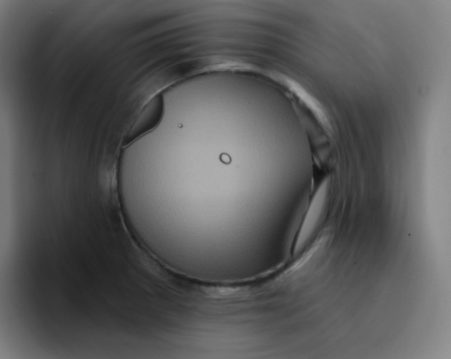 X0000094191281200711161741