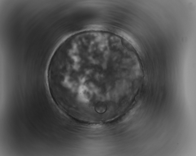 X0000094191283200711161740