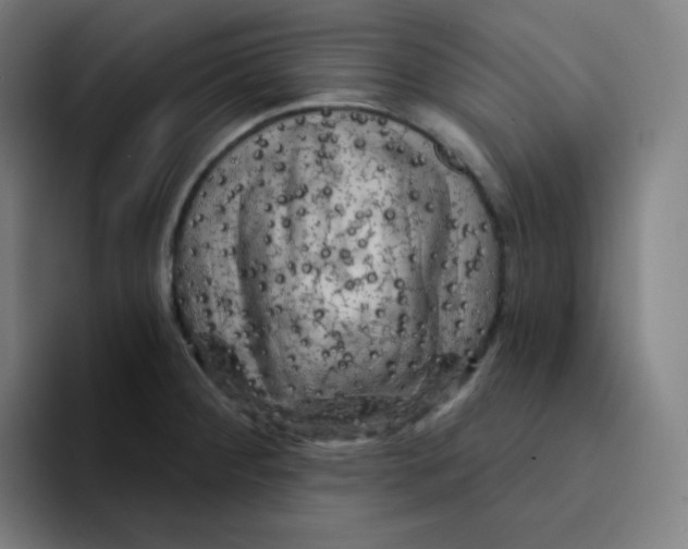 X0000094191284200711161740