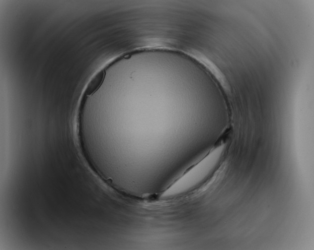 X0000094191285200711161740