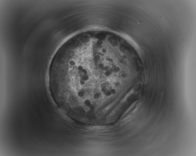 X0000094191287200711161740