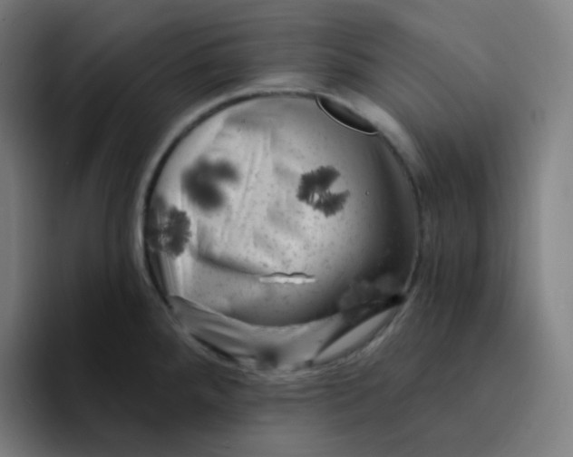 X0000094191288200711161740