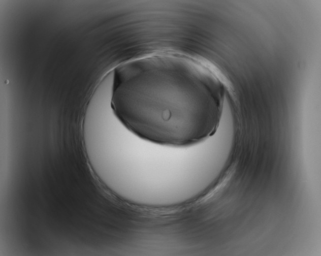 X0000094191289200711161740