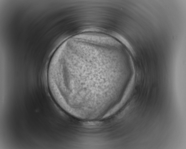 X0000094191290200711161740