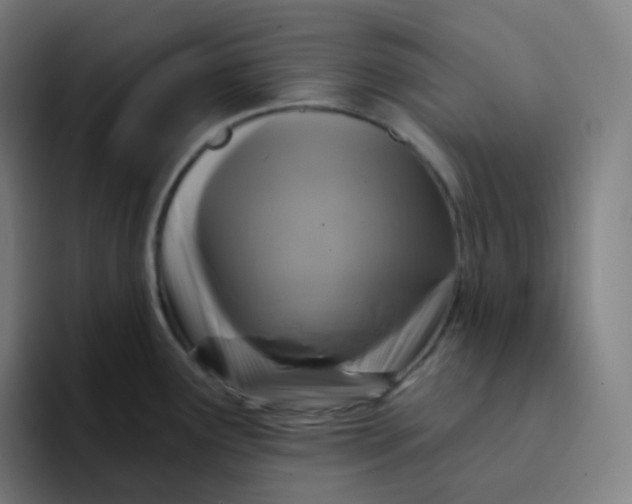 X0000094191291200711161740