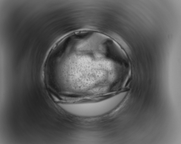 X0000094191292200711161740