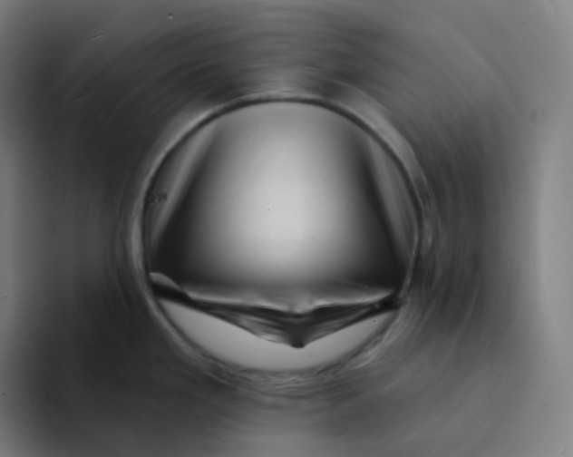 X0000094191293200711161740