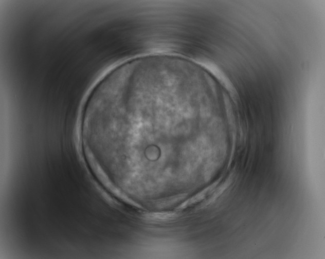 X0000094191294200711161740