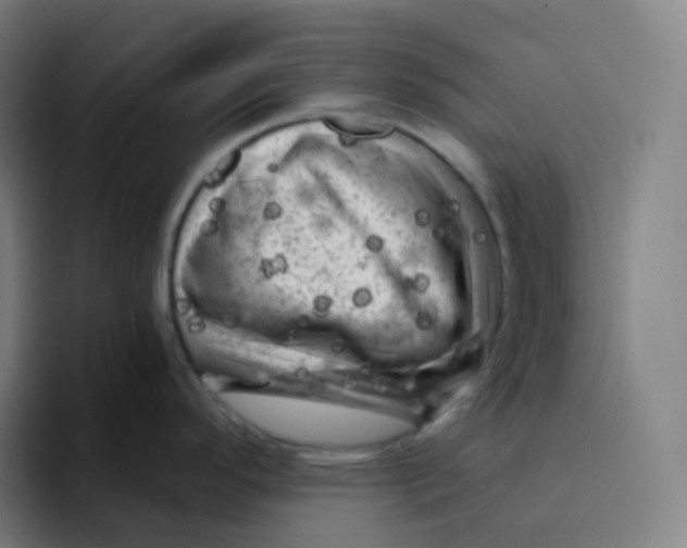 X0000094191296200711161740