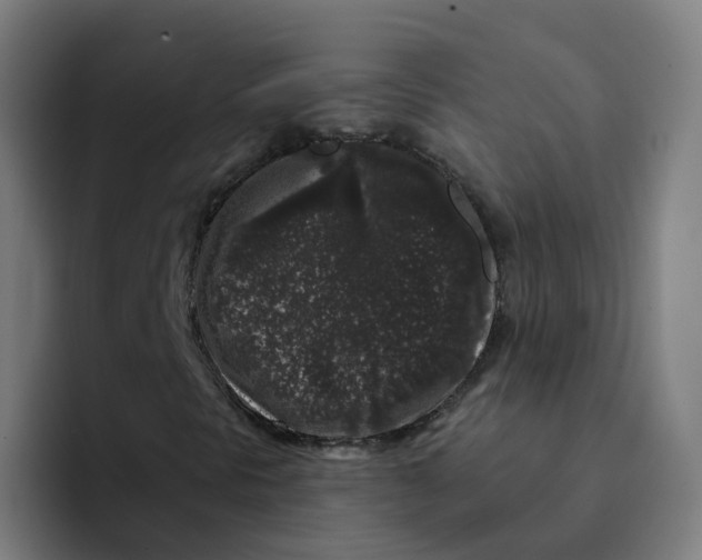 X0000094191297200711161740