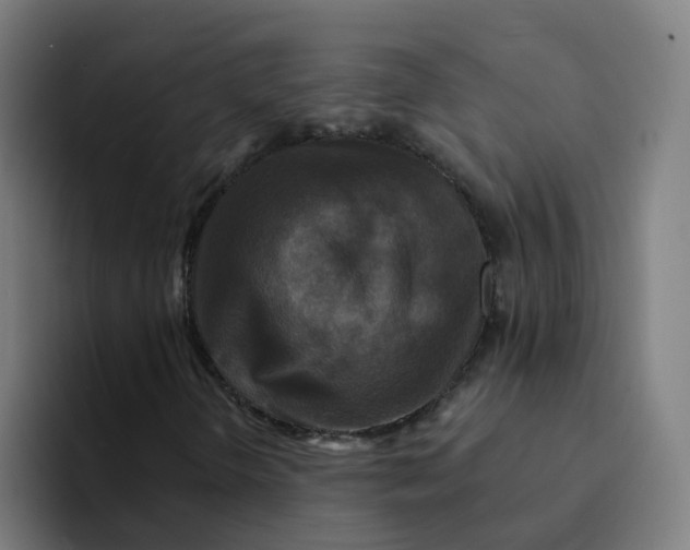 X0000094191298200711161740