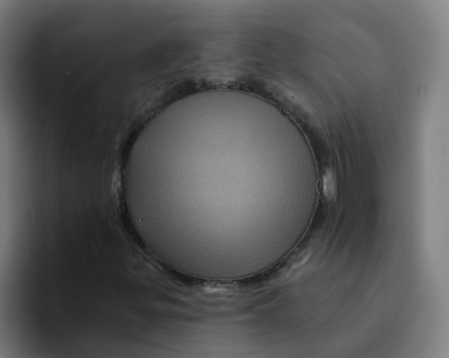 X0000094191299200711161740