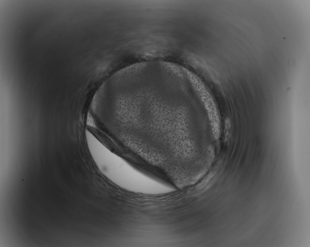 X0000094191300200711161740