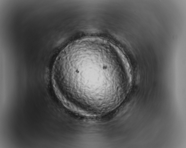 X0000094191301200711161740