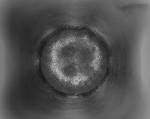 X0000094191302200711161740