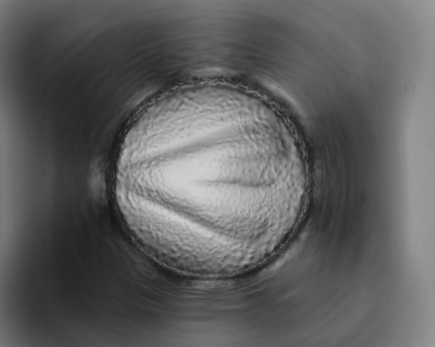 X0000094191305200711161740