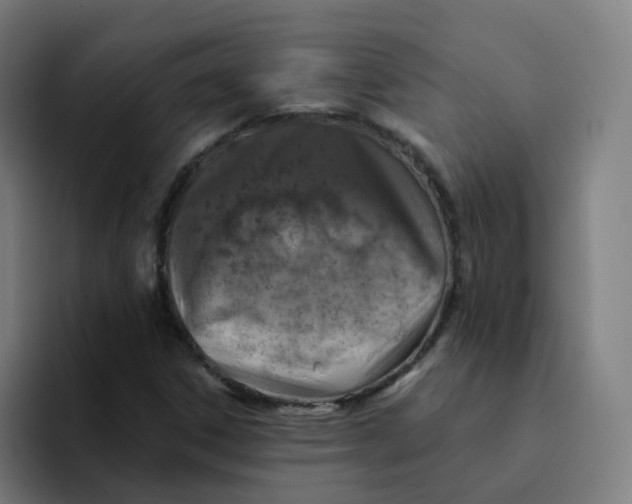 X0000094191306200711161740