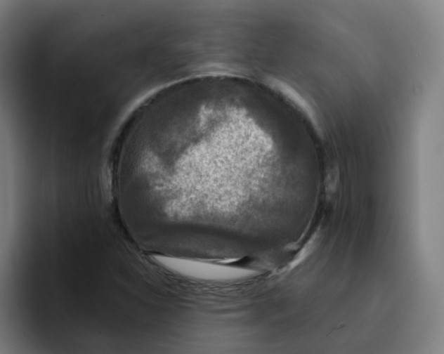 X0000094191310200711161740