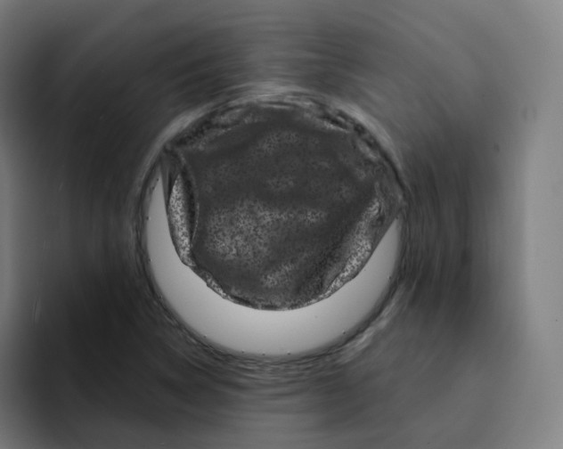 X0000094191314200711161740