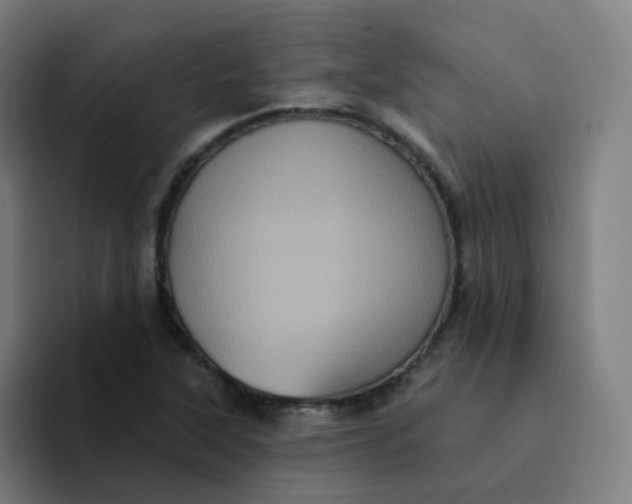 X0000094191315200711161740