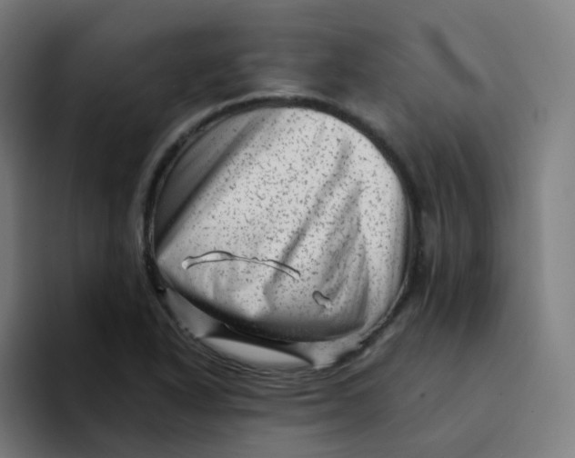 X0000094191318200711161740