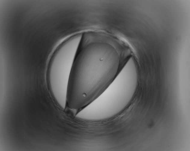 X0000094191320200711161740