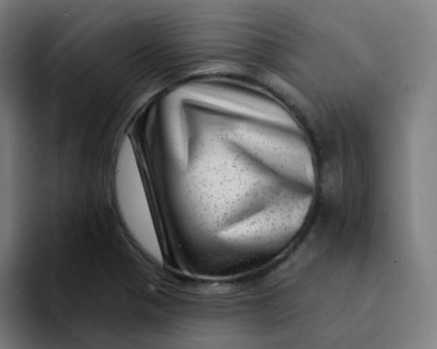 X0000094191321200711161740